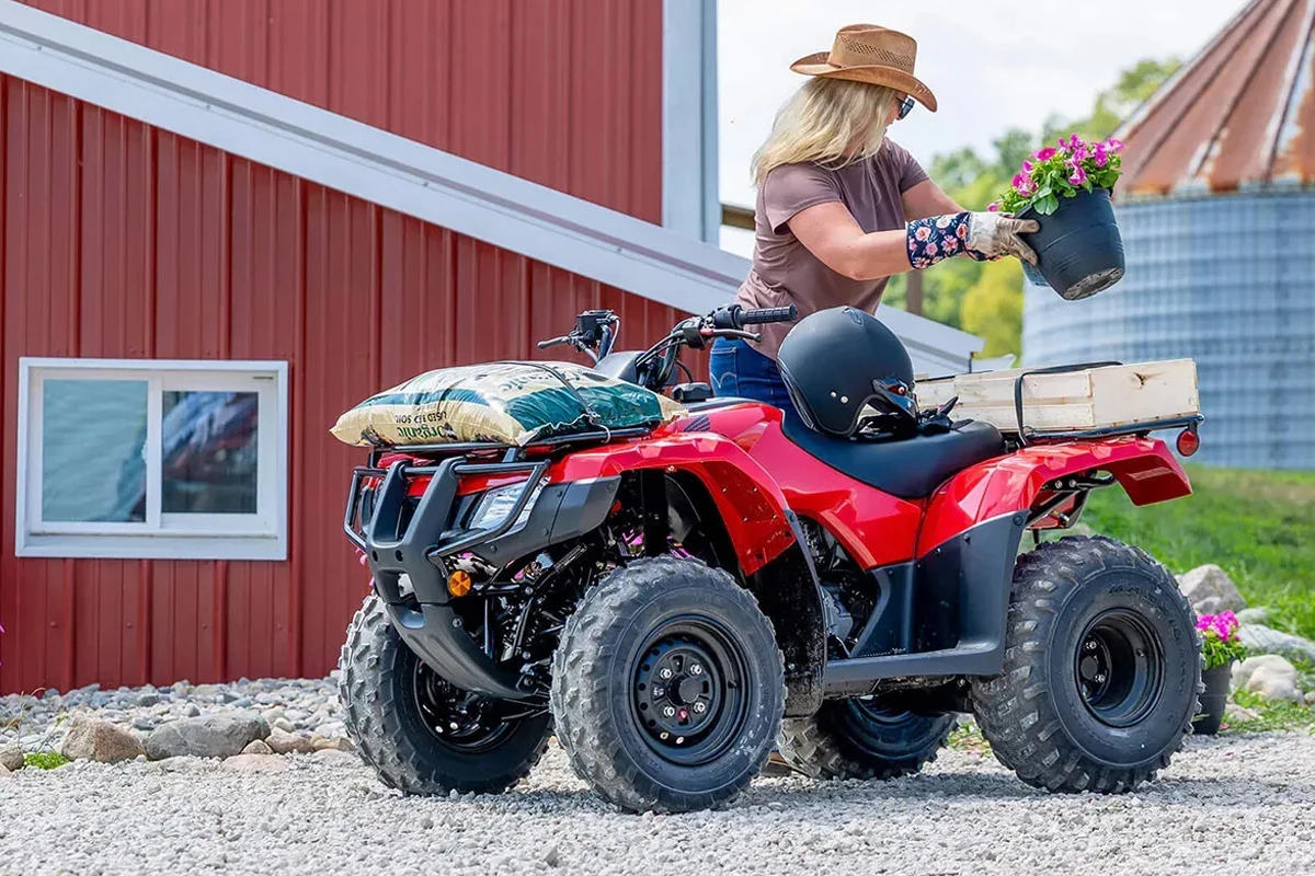 Honda TRX 250TM (4x2)