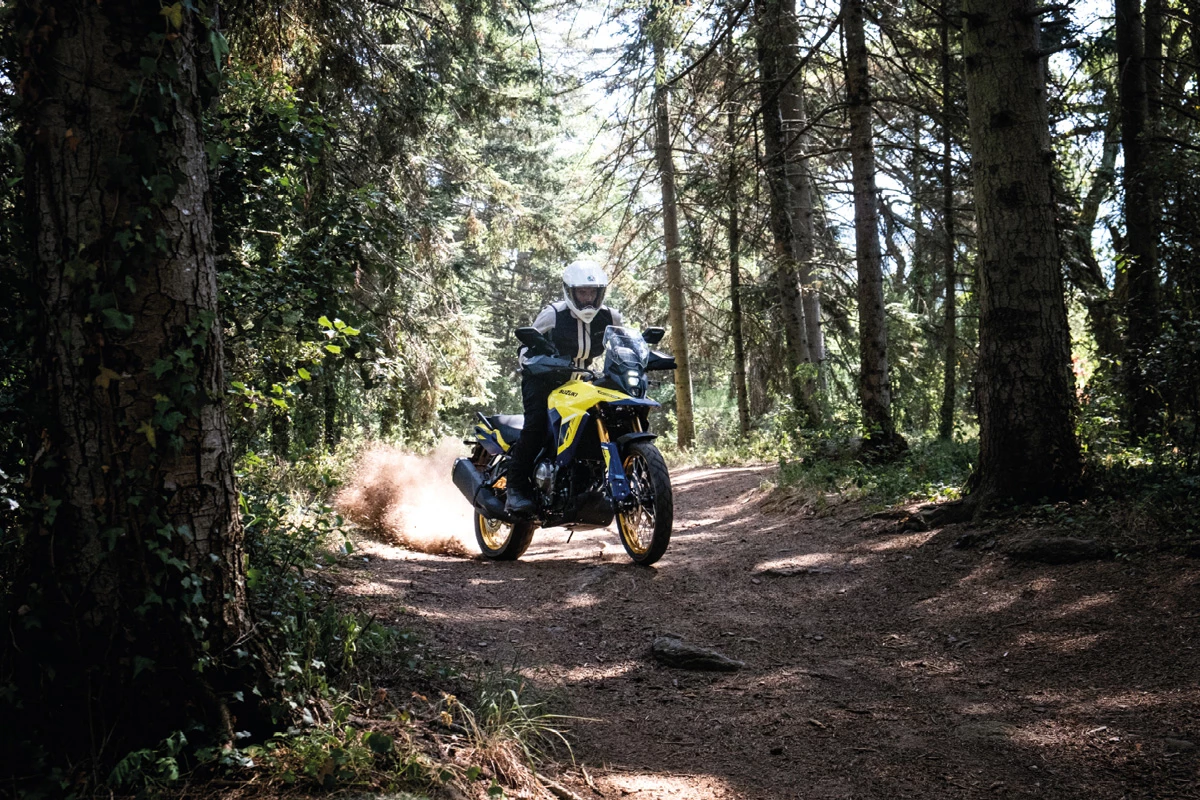 Suzuki V-Strom DL 800 DE