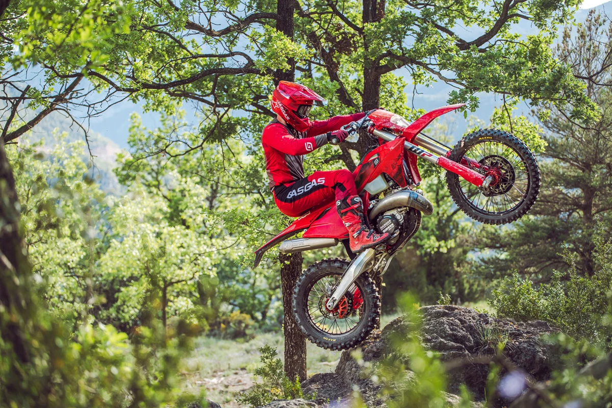 GasGas EC 300 (MY27)