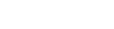 Troy Lee Designs